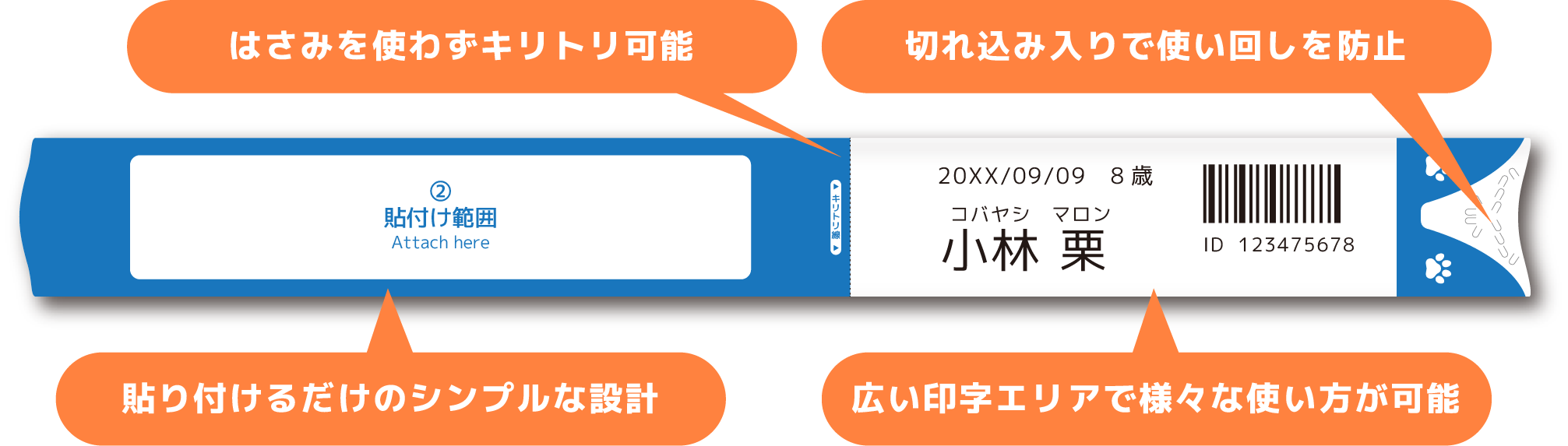 1Day FLATONEの特長
