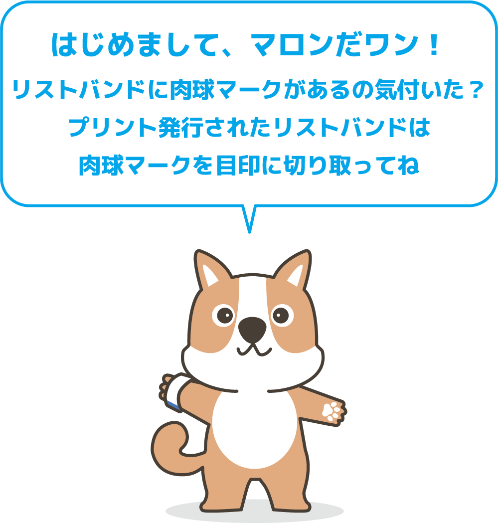 はじめまして、マロンだワン！ １Day FLATONEについて説明するね リストバンドに肉球マークがあるの気付いた？ 実は、ぼくのだよ