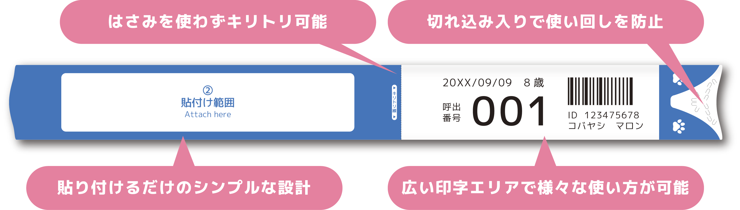 1Day FLATONEの特長