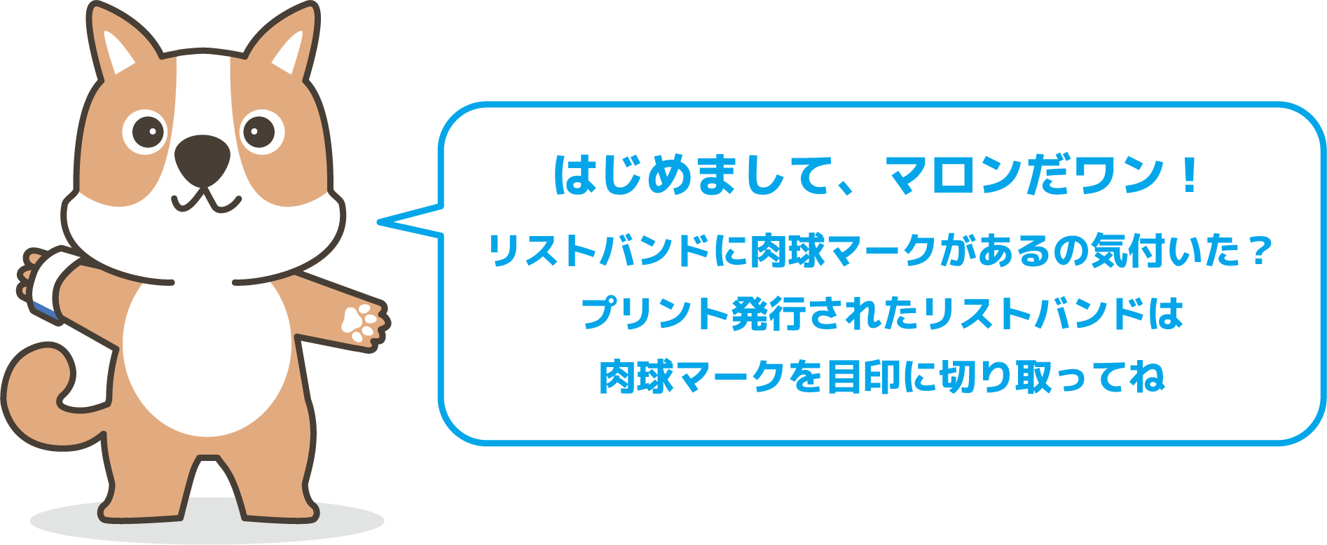 はじめまして、マロンだワン！