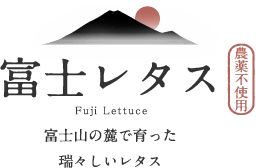 富士レタスロゴ